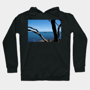 View through twisted pohutukawa tree branches across barge with crane blue ocean to distant horizon Hoodie